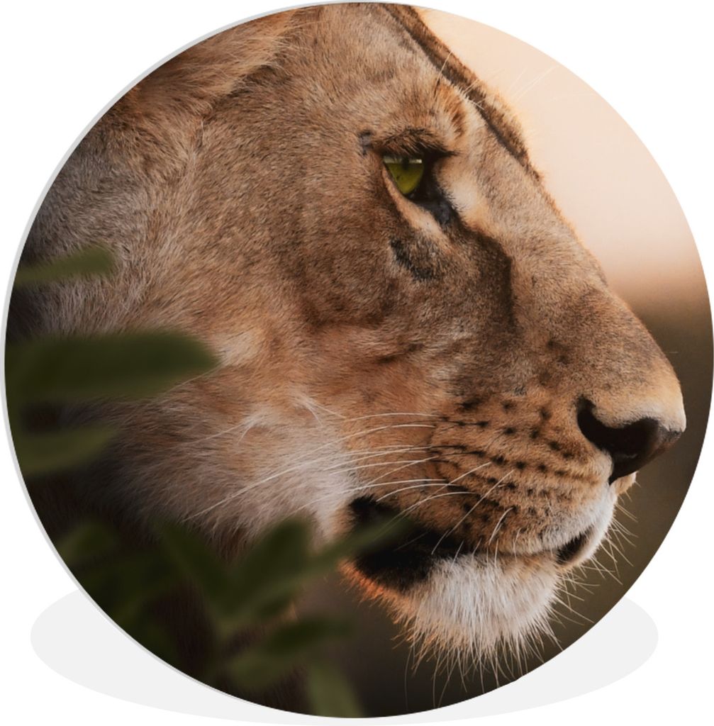 MuchoWow - Wand-Kreis - Wohnzimmer - Bild - Runde - Wanddeko - Dibond - Kunstdrucke