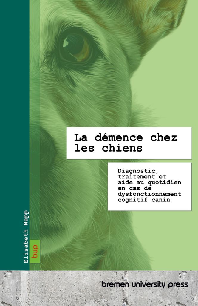 Demenz bei Hunden