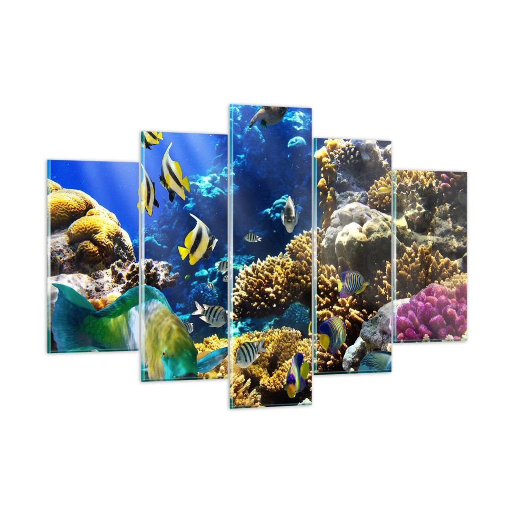 Bilder auf glas - Korallenriff Ozean Krabbe Fisch - 150x100cm - Glasbilder - Wandbilder - Kunstdruck - Wanddekoration aus Glas - Glas Bilder - Wand...