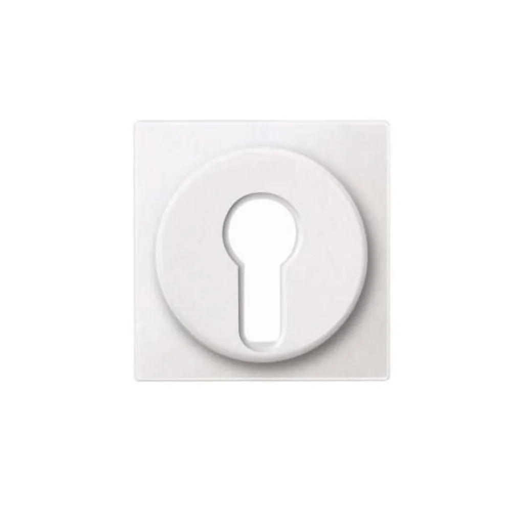 Merten 318119 Plaque Centrale PWS Blanc Polaire pour Prise et Interrupteur