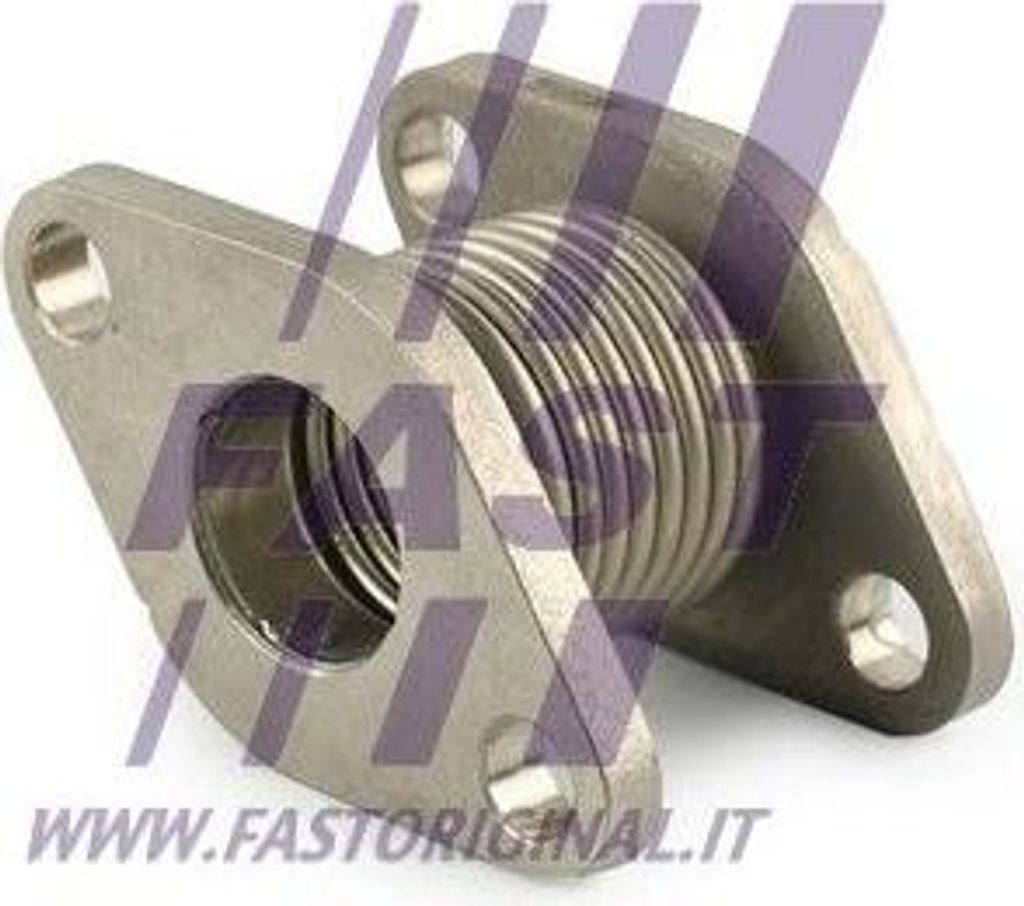 FAST FT84303 Rohr, AGR-Ventil OE 504155826 kompatibel mit Daily, Ducato
