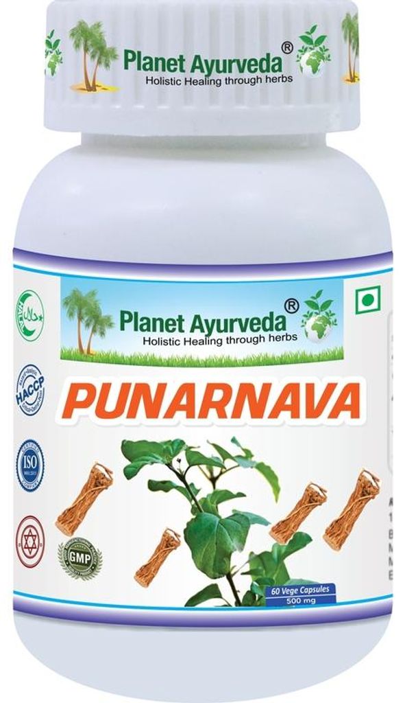 Punarnava (Boerhavia diffusa) - voedingssupplement, 500mg, Productafbeelding 