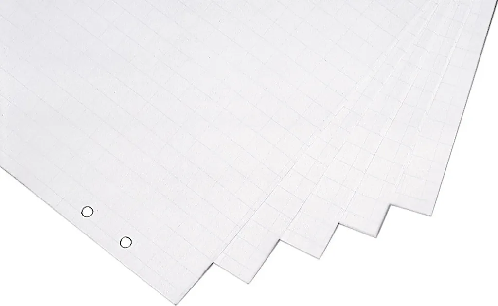 Carta Magnetoplan per Flipchart 65x98cm | Il Bianco Perfetto per Idee