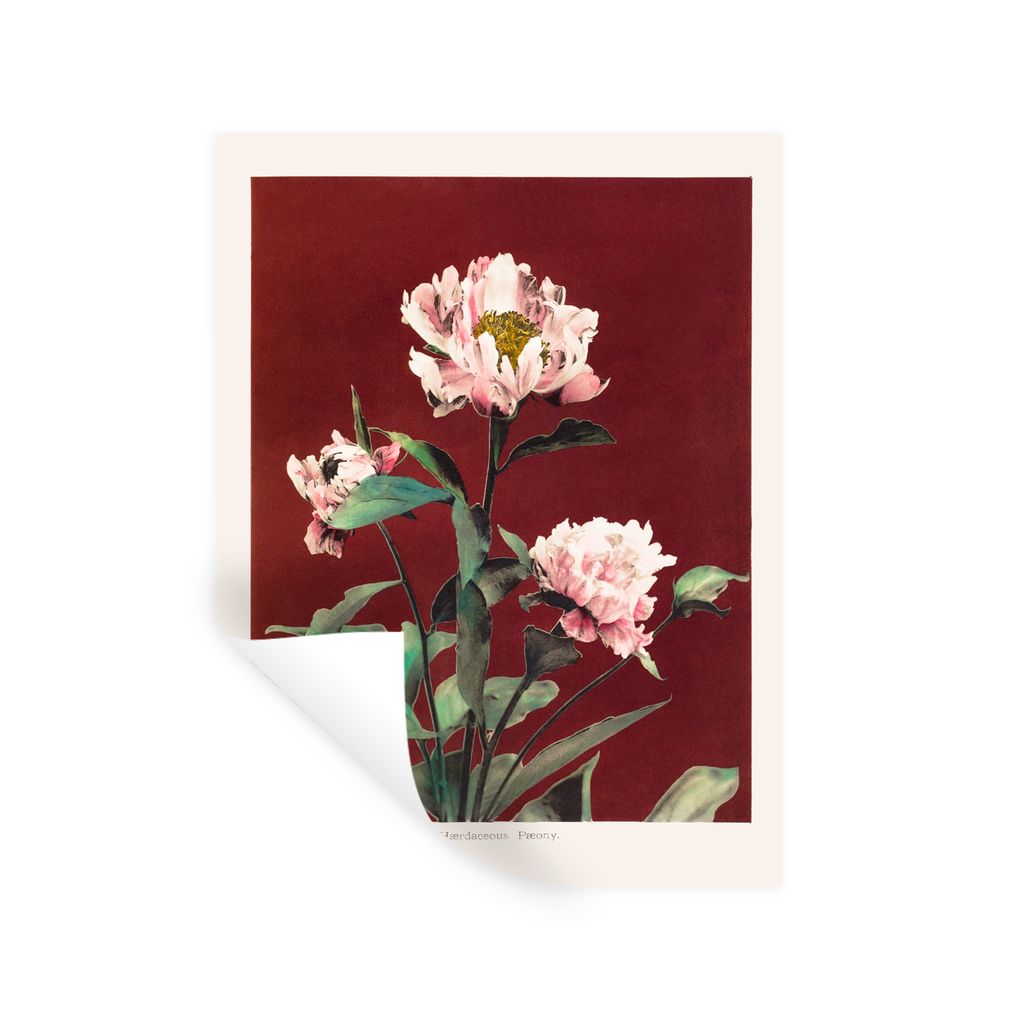 MuchoWow Wandtattoo Wandsticker Wandaufkleber Blumen - Pflanzen - Farben - Rot - Vintage 30x40 cm Selbstklebend und Repositionierbar - Sticker - ...