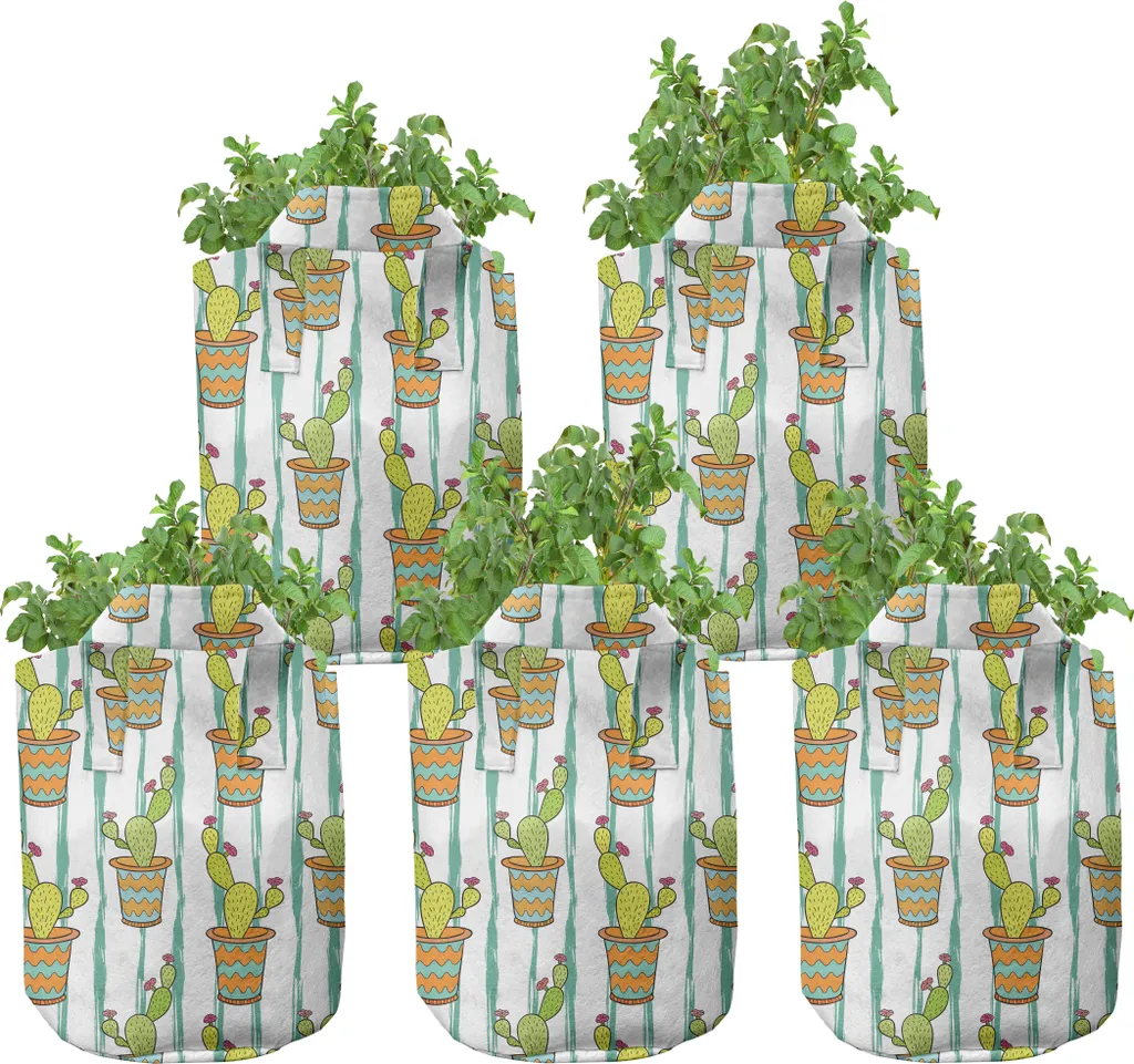 Pots de culture respirants anti-pourriture pour cactus 5 gallons x5