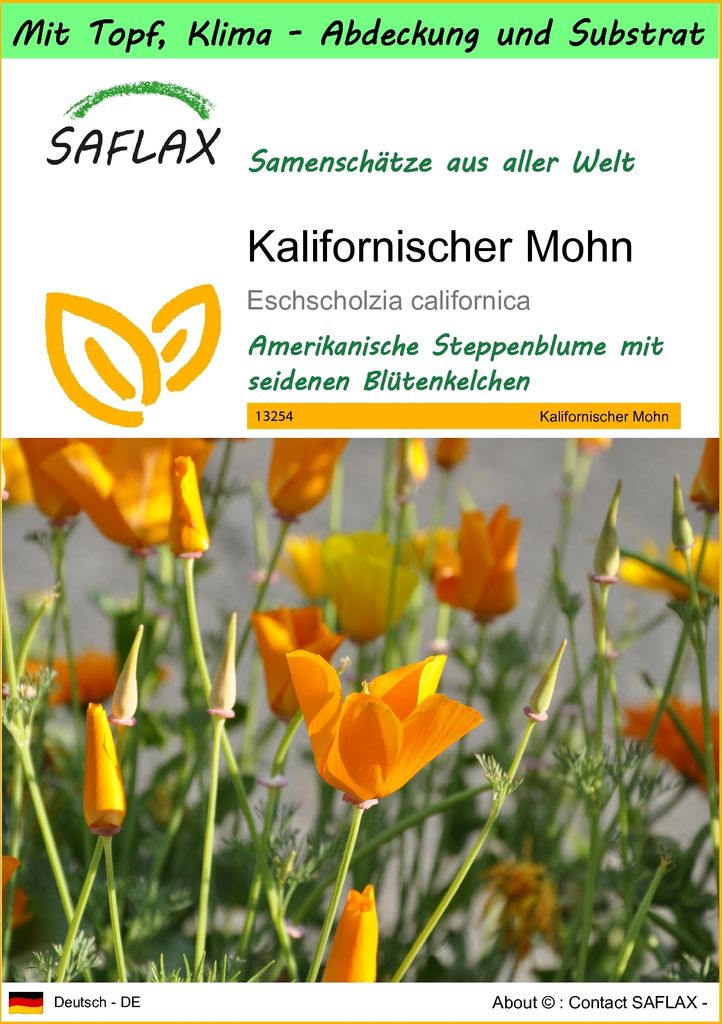 SAFLAX Garden to go - Kalifornischer Mohn - Eschscholzia californica - 1500 Samen - Mit Topf, Klima - Deckel und Anzuchtsubstrat