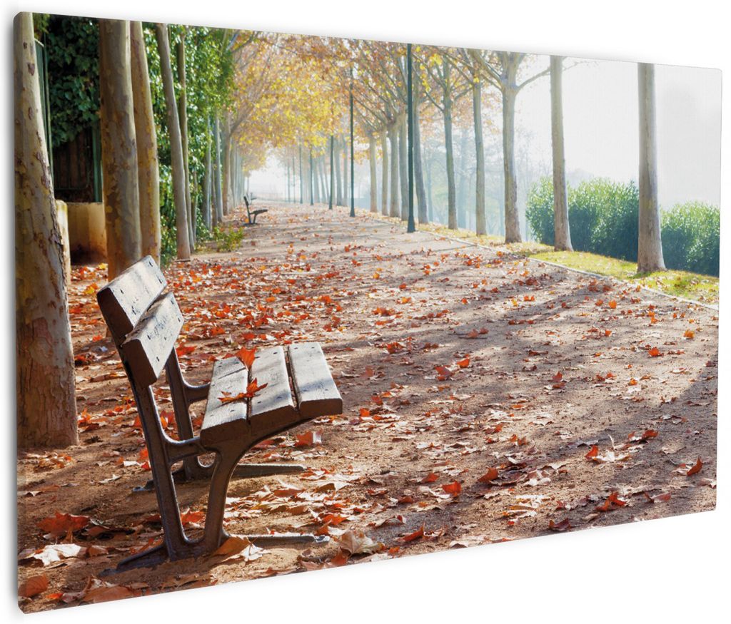 Wallario Premium Leinwandbild Einsame Parkbank an einer Produktbild 
