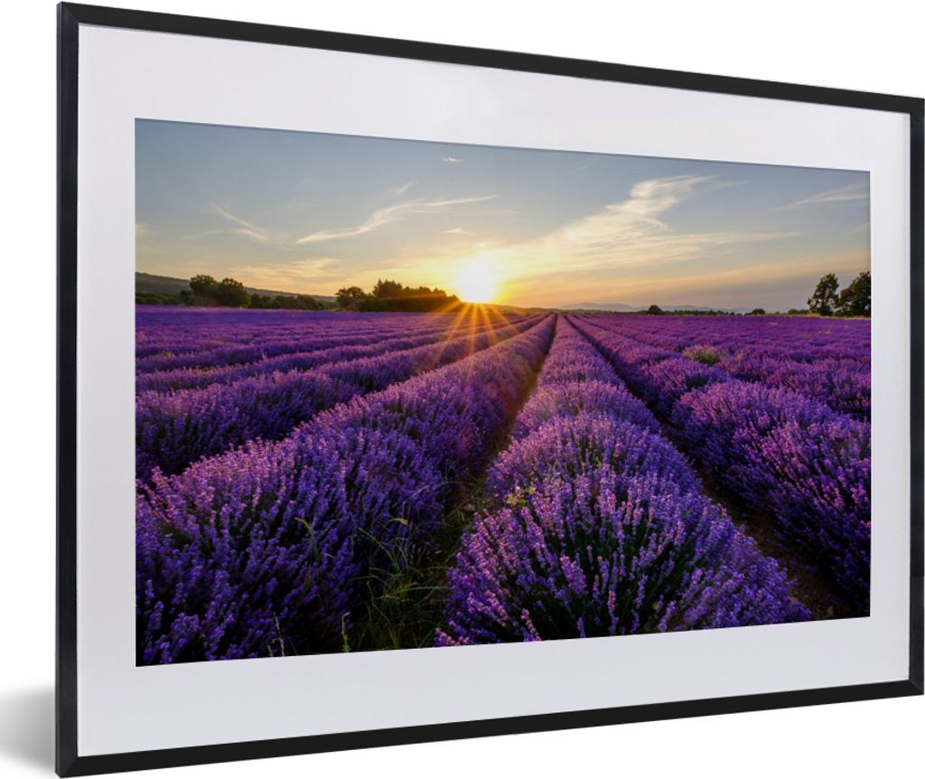 MuchoWow Gerahmtes Poster Lavendel - Blumen - Sonnenuntergang - Lila 60x40 cm - Poster mit Schwarzem Bilderrahmen Wandposter Rahmen Foto Bilder -...