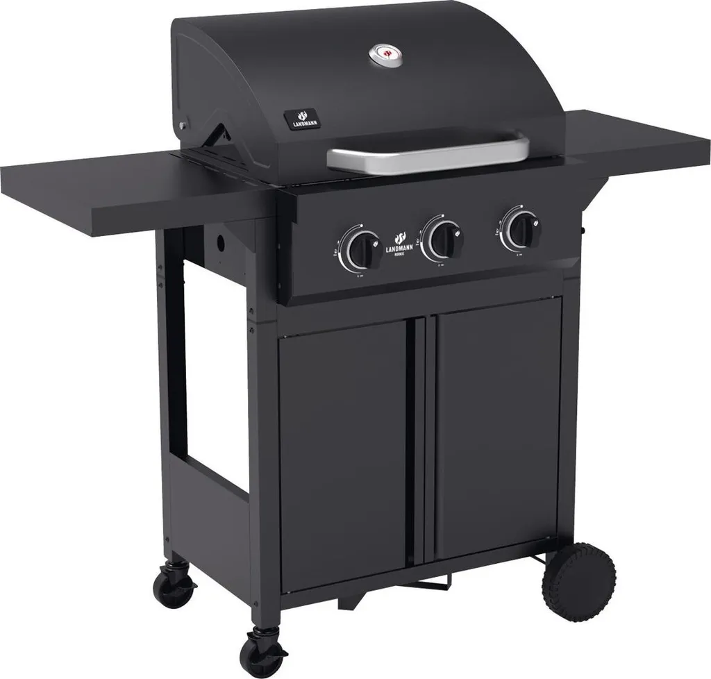 Barbecue gaz LANDMANN Rookie 3.0 Finies les Cuissons Manquées 13972