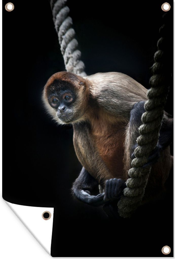 MuchoWow 60x90 cm Outdoor-Poster Gartendeko Sichtschutz Garten Poster für den Garten Ein Klammeraffe sitzt auf einem Seil vor einem schwarzen H...