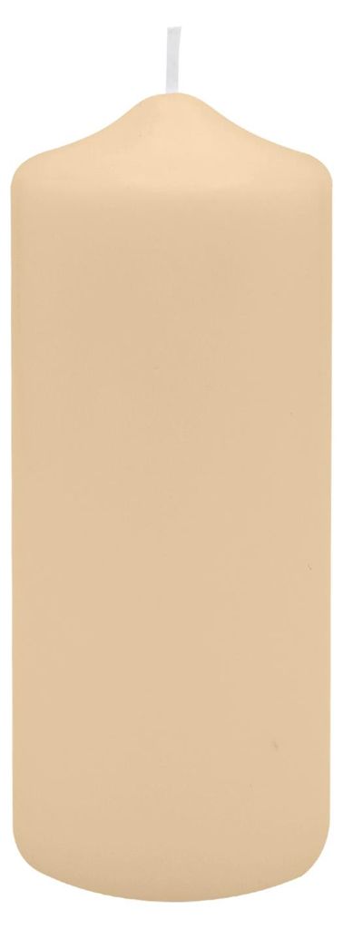 Spitzkopf Stumpen Kerzen Pinie 10 x Ø 10 cm, 12 Stück (neue Art.-Nr. 14402.44.012)