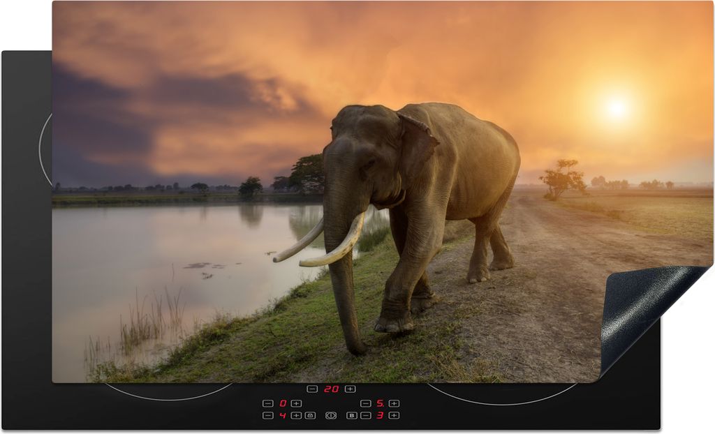 KitchenYeah Herdabdeckplatte Elefant - Wasser - Tiere - Sonnenuntergang - Natur , 90x52cm, Küche Deko, Glaskeramikkochfeld Herdabdeckung, Abdeck...