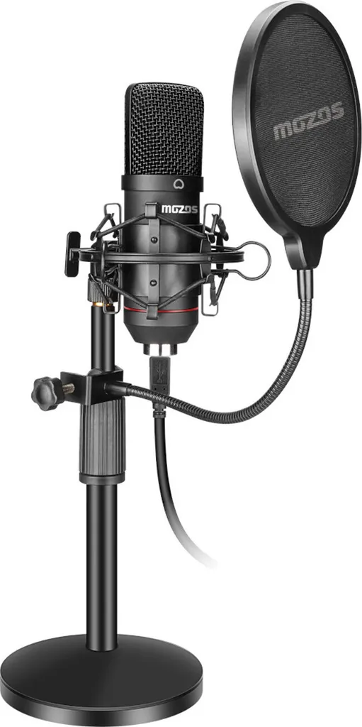 Microphone USB Haute Fidélité 100Hz-18000Hz avec Filtre de Protection