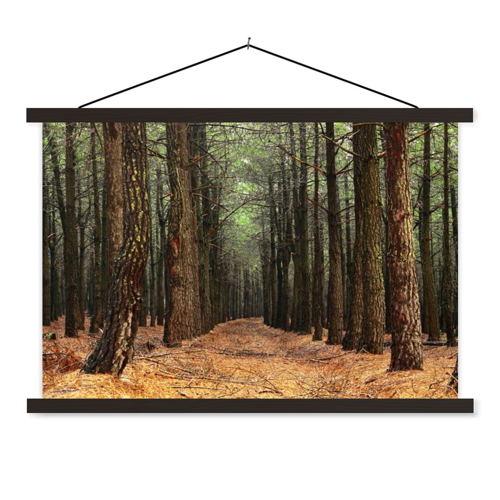 MuchoWow Textilposter Herbst - Dekoration - Wald 90x60 cm mit schwarzem Rahmen - Aufhängungssatz
