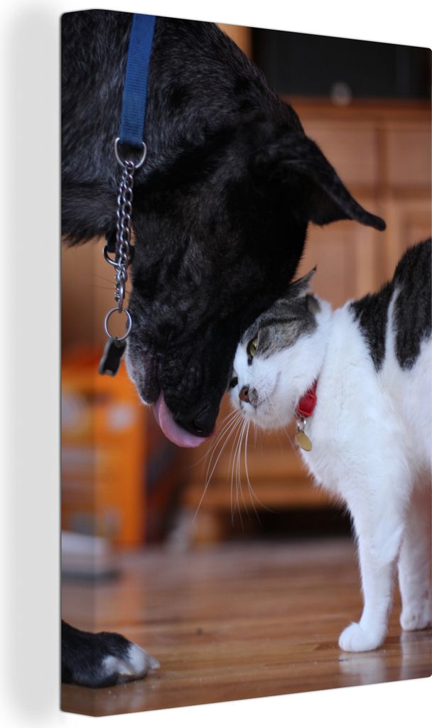 OneMillionCanvasses - Leinwandbilder - 90x140 cm, Katze - Hund - Zusammen, Wandbilder Kunstdruck Wanddekoration - Wandschmucke - Schlafzimmer