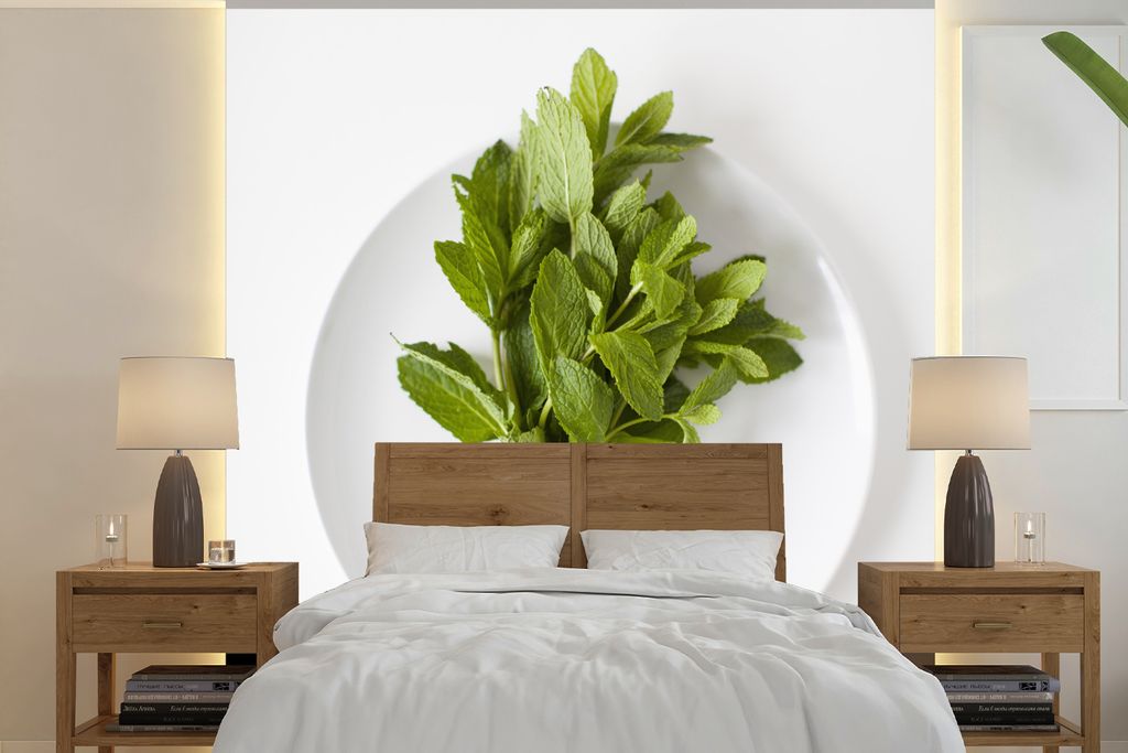 MuchoWow Fototapete für Wohnzimmer oder Schlafzimmer Wandtapete Vinyl Motivtapete Ein Porzellanteller mit einer großen Münzpflanze - 300x300 c...