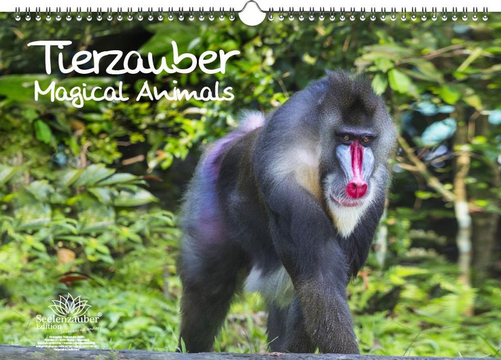 Tierzauber Immerwährender Kalender DIN A3 verschiedene Tiere - Seelenzauber