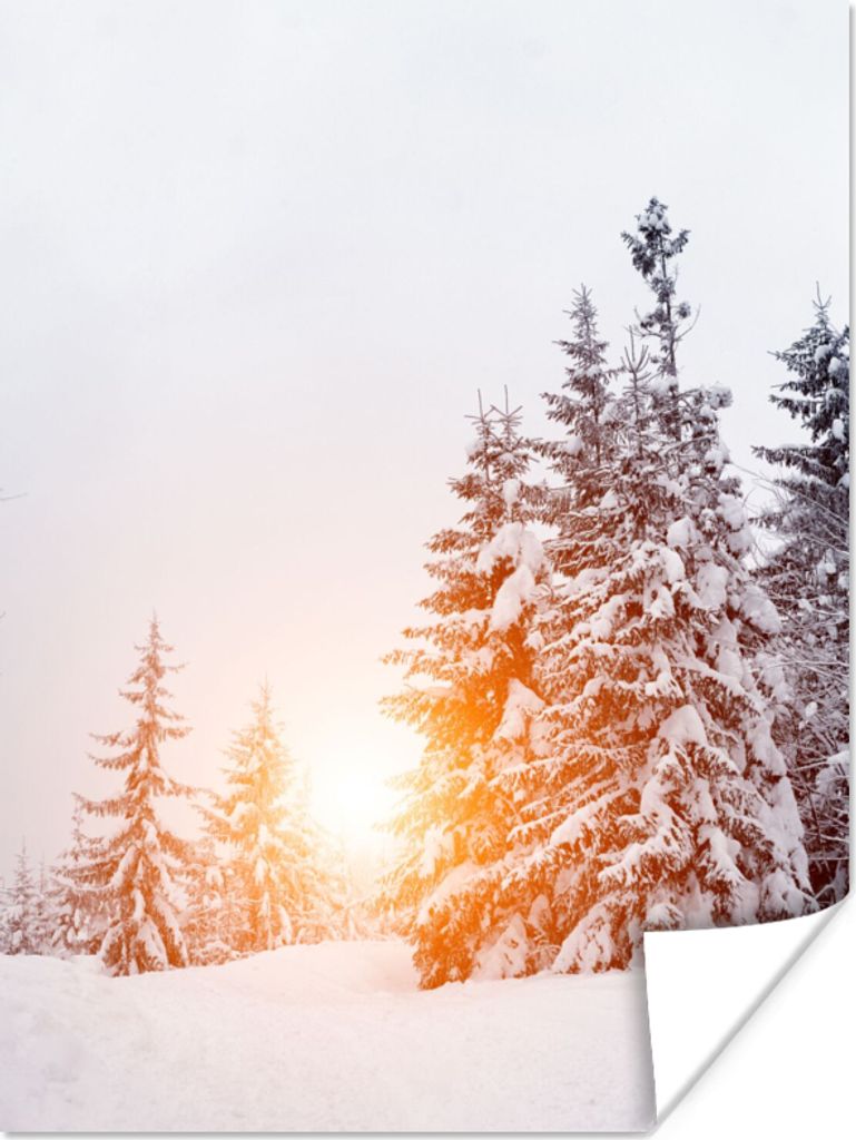 MuchoWow Poster Sonne - Bäume - Schnee 120x160 cm - Wandbilder