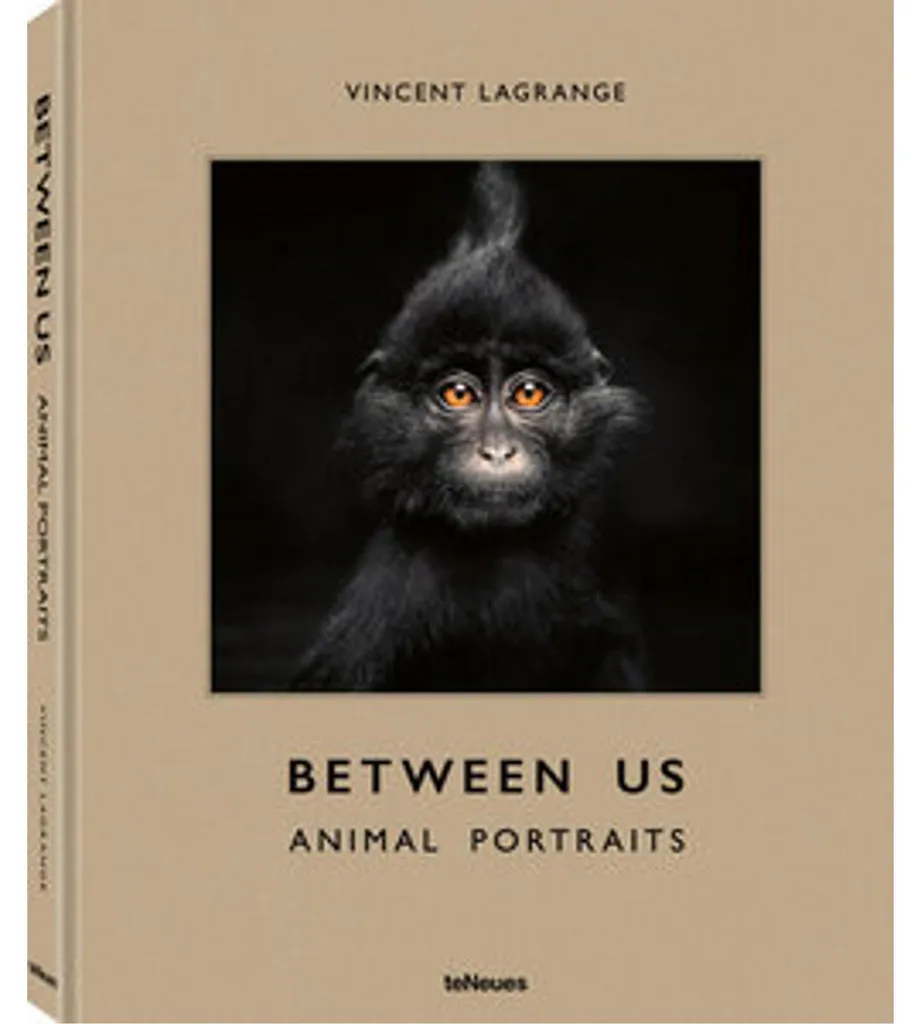 Between Us : Cartes de Questions Intimes pour Raviver la Flamme - 3