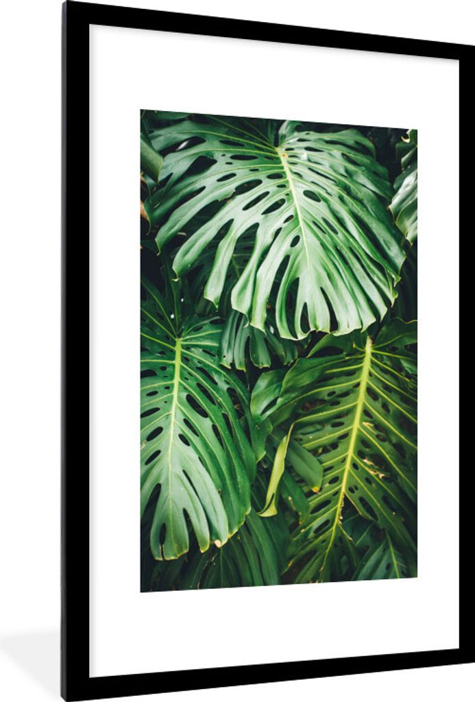 MuchoWow Gerahmtes Poster Musterblätter 60x90 cm - Poster mit Schwarzem Bilderrahmen Wandposter Rahmen Foto Bilder - Dekoration - Wandposter Woh...