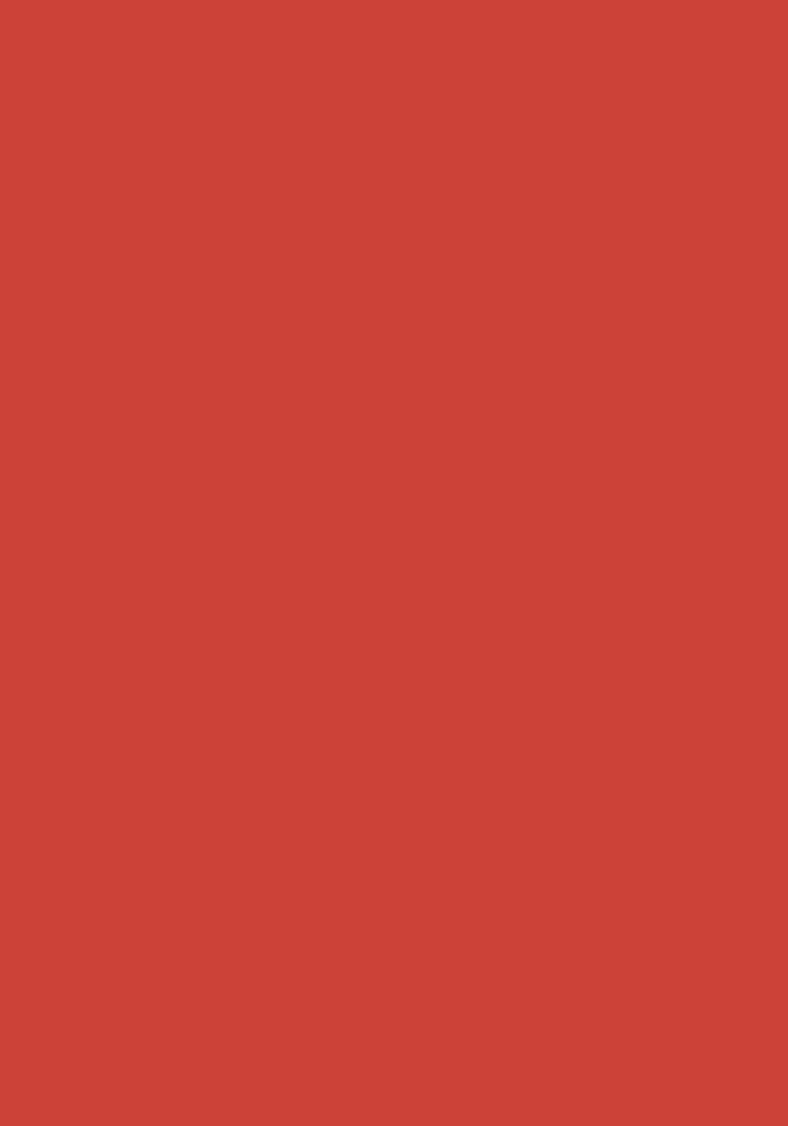 100 Blatt farbiges Druckerpapier / buntes Kopierpapier / Farbe: rot