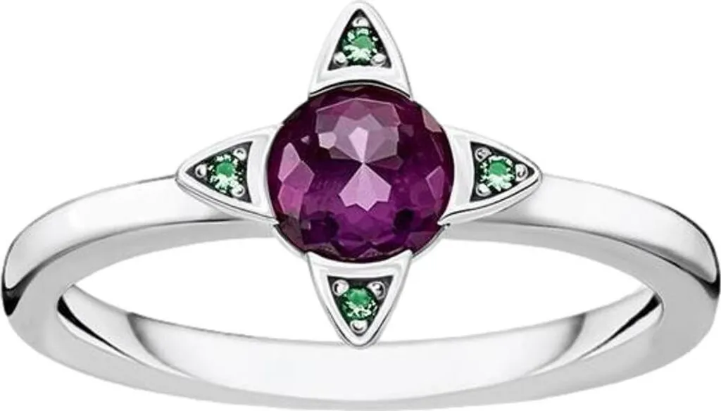 Thomas Sabo TR2263-667-13-54 Bague Unie en Argent 925 Taille 54 Chic