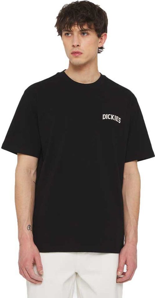 Dickies Elliston Kurzarm-t-shirt Schwarz L Mann Schwarz L