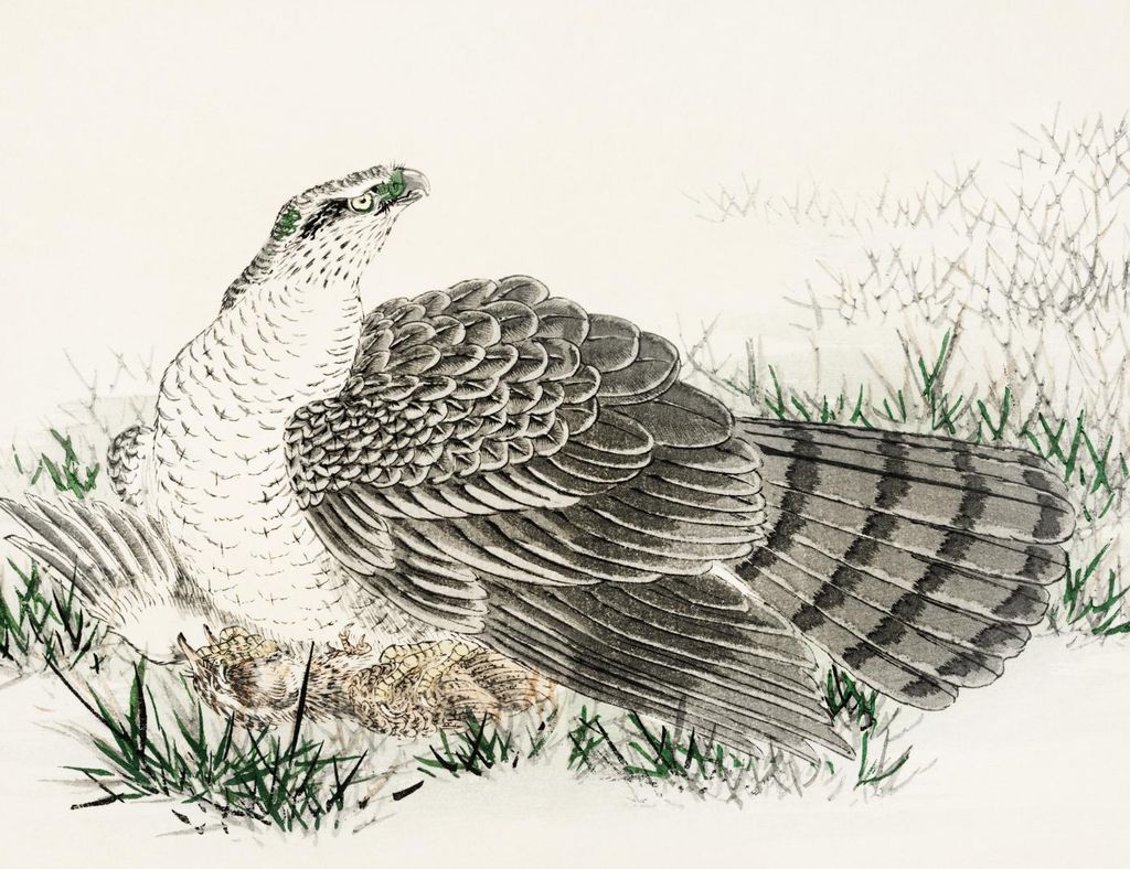 Plakat 65x50cm Hawk-Eagle, Japanischer Vintage Kashu für das Wohnzimmer