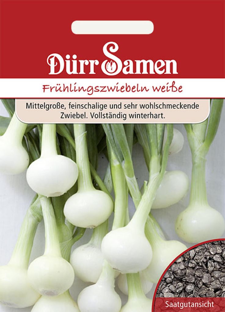 Dürr-Samen - Frühlingszwiebeln Vaugirard Weiße - Saatgut - Produktbild 