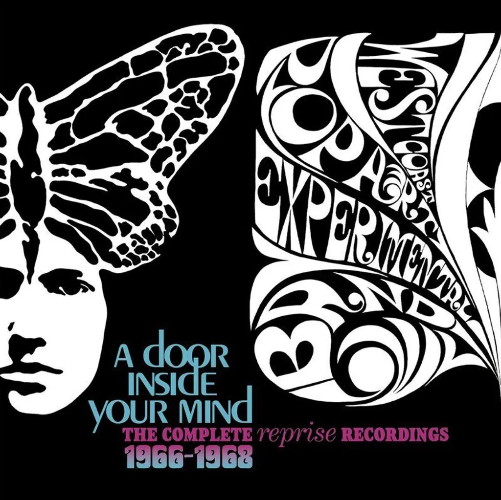 A Door Inside Your Mind 4CD : L'Expérience Musicale Totale en Coffret