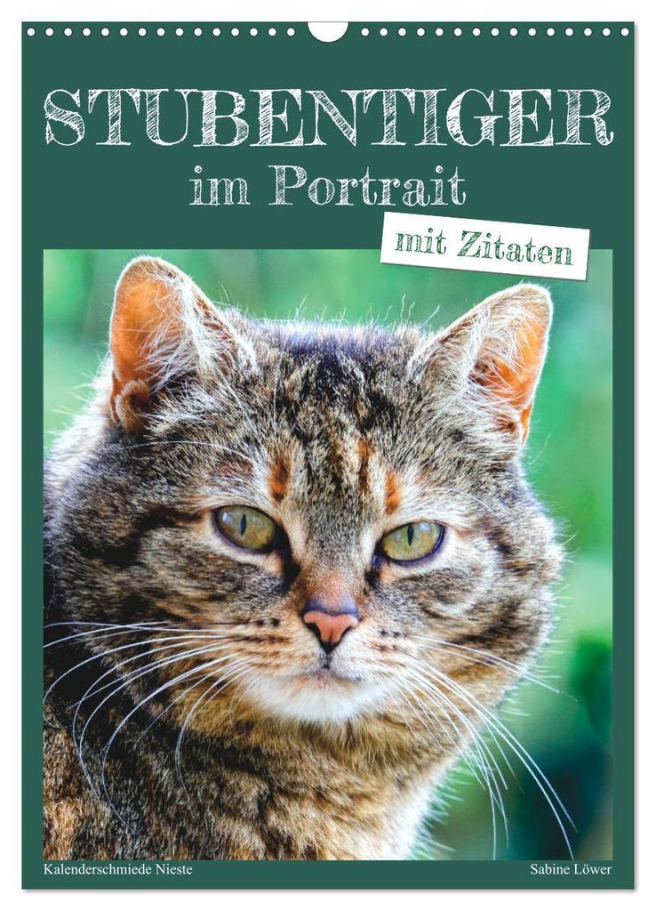 Stubentiger im Portrait (Wandkalender 2027 DIN A3 hoch), CALVENDO Monatskalender