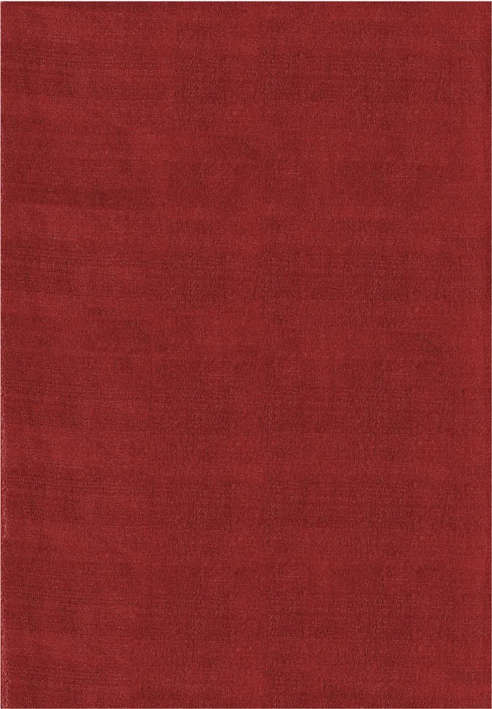 Tapis rouge Sky 80x150cm à poils ras - Finition soignée et entretien aisé