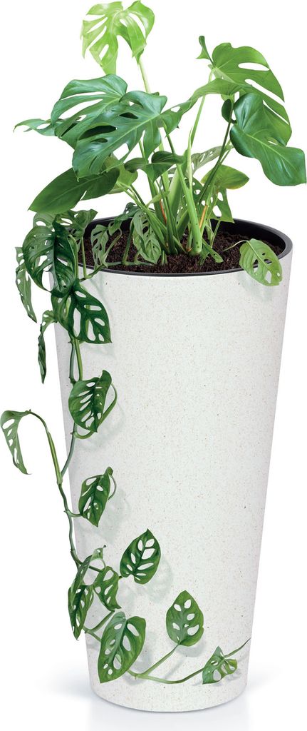 Pot de fleurs Cache-pot Pot de plantes Pot de plantes avec Image du produit 