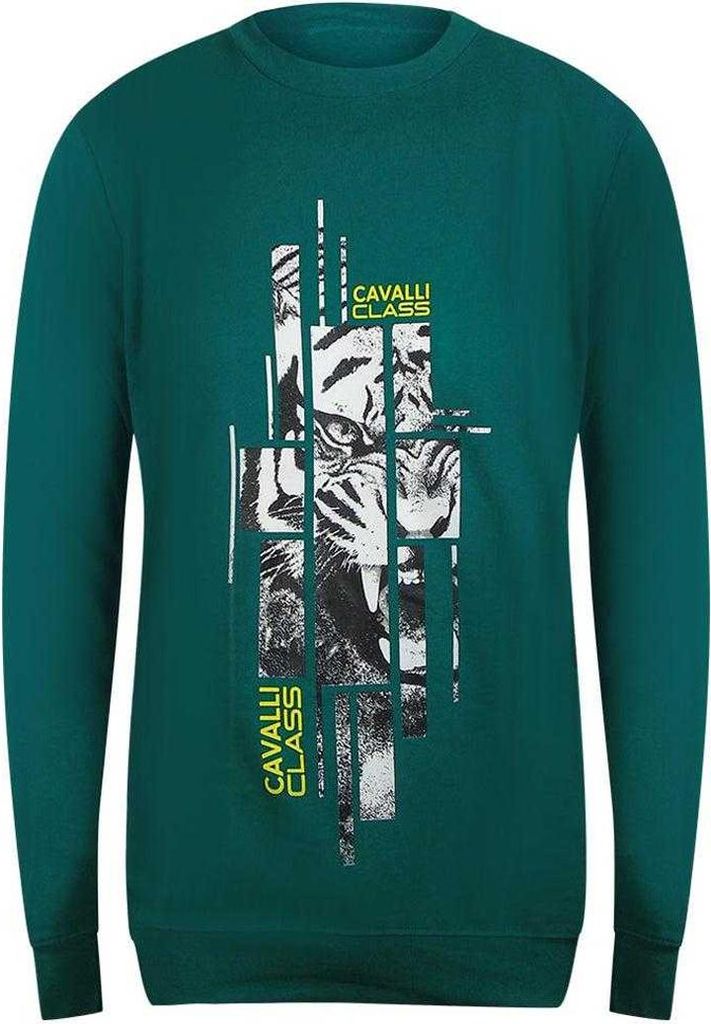 Cavalli Class - "Splintered" Sweatshirt für Herren/Damen Uni SY1006 (XL) (Grün)