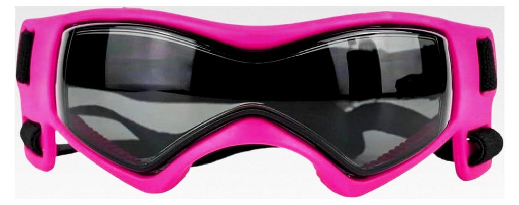 Hundebrille | Brille für Welpen mit UV-Schutz und Windschutz sowie verstellbarem Trageband - Kleine Hundebrille für Motorradtouren, Spaziergänge...
