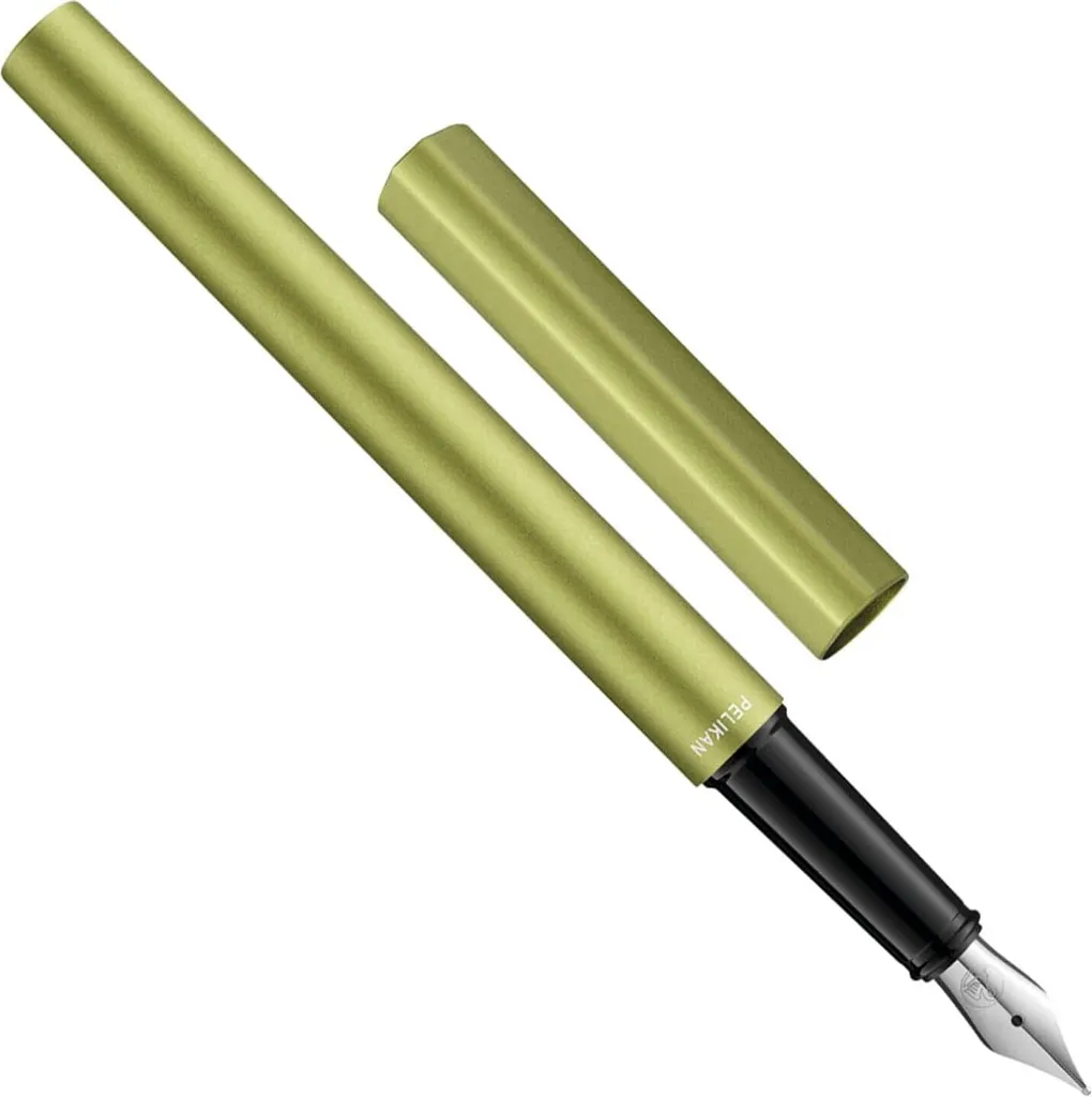 Pelikan Ineo Green Oasis - Penna Stilografica Regalo con Box Metallo