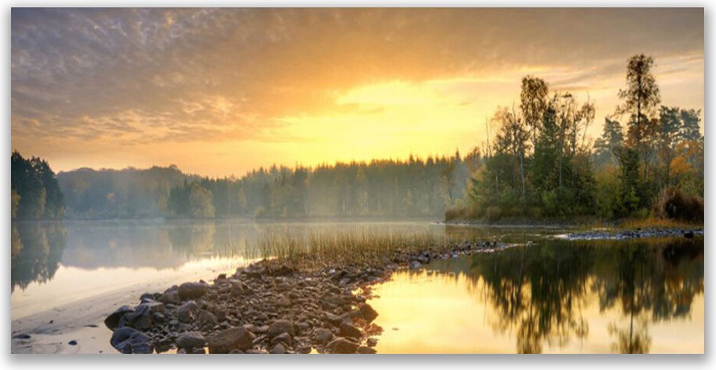 Küchenrückwand aus Glas 120x60cm Spritzschutz See Steine Wald Landschaft