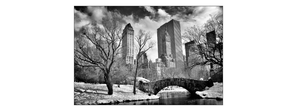 Muralo Fototapete Stadt NY 135 (B) x 90 (H) cm Vlies Tapete Wandtapete Fluss New York Park Brücke Wolkenkratzer Wohnzimmer Schlafzimmer moderne Wa...