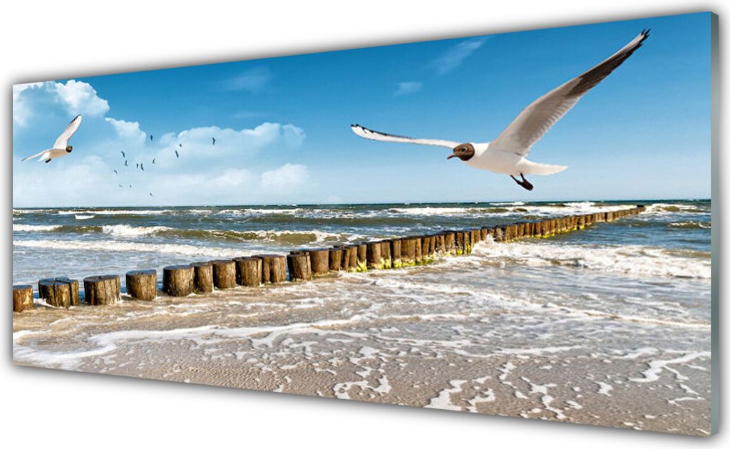 Glasbilder 125x50 Wandbild Druck auf Glas Möwen Meer Landschaft