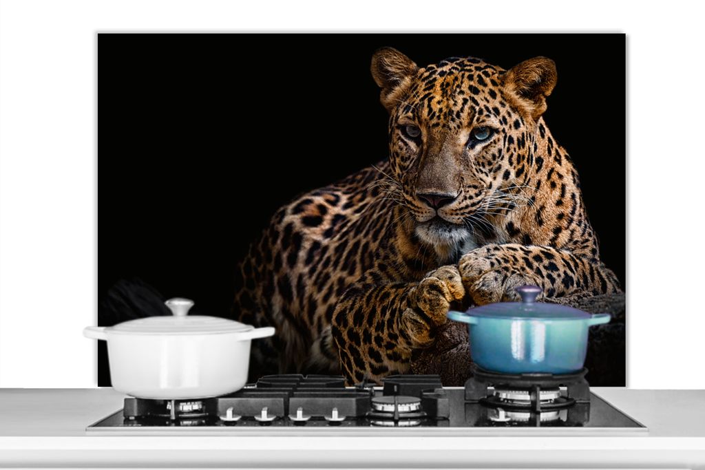 KitchenYeah Spritzschutz Küche - Küchenrückwand - Wandschutz für Herd und Spüle - Wildtiere - Panther - Porträt - Schwarz - Tiere 100x65 - ...
