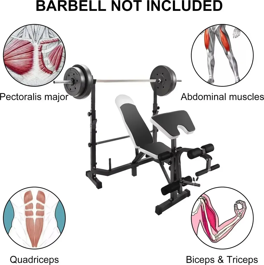 Banc de musculation stable et réglable - Finies les douleurs de dos - 3
