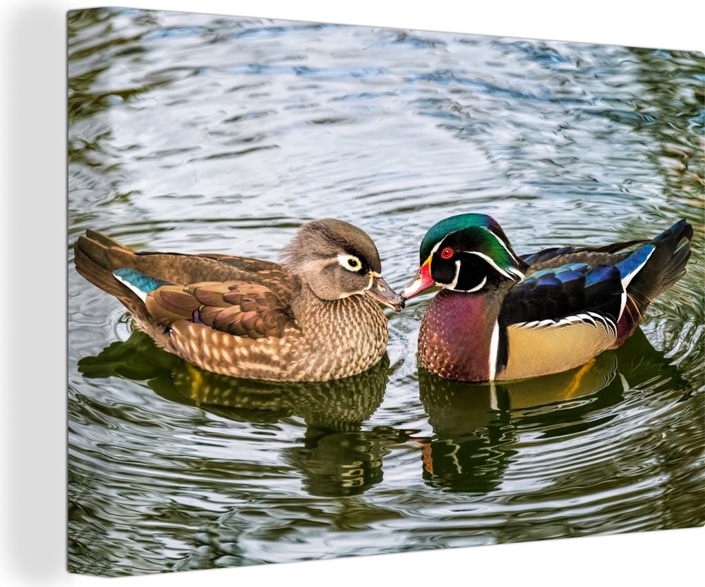OneMillionCanvasses - Leinwandbilder - 140x90 cm, Ente - Vögel - Wasser - Federn - Tiere, Wandbilder Kunstdruck Wanddekoration - Foto auf Leinwa...