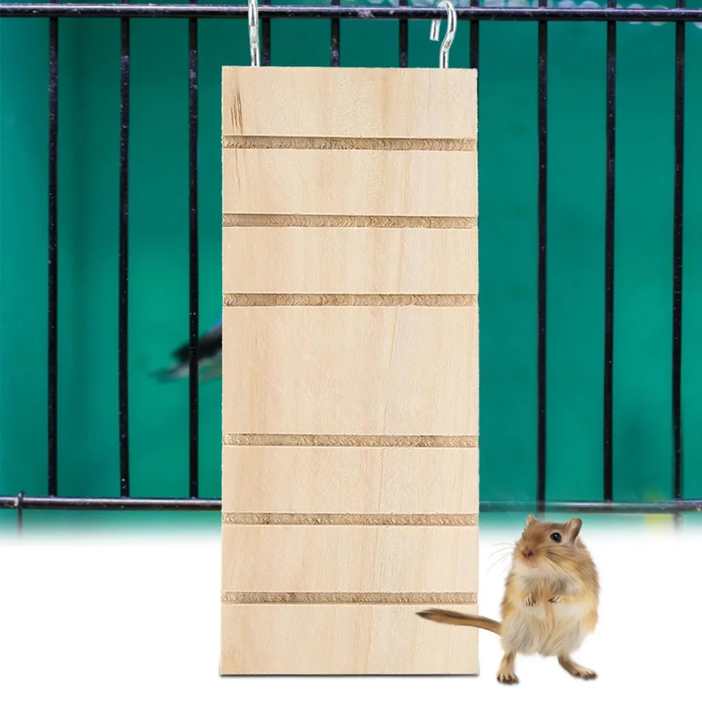 Piattaforma Gioco e Scaletta Legno per Arredo Gabbia Roditori - 4