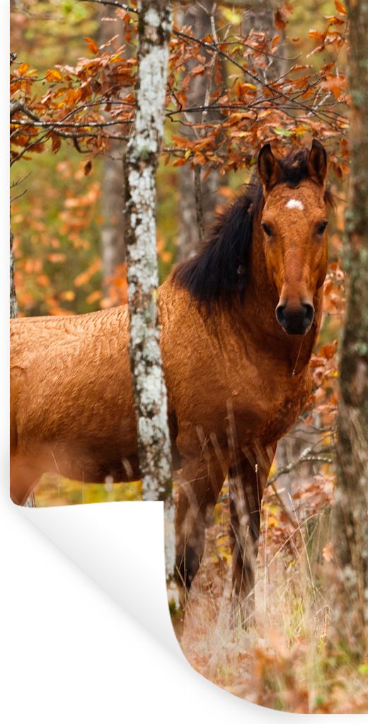 MuchoWow Wandtattoo Wandsticker Wandaufkleber Pferd - Wald - Braun 80x160 cm Selbstklebend und Repositionierbar - Sticker - Dekorfolie