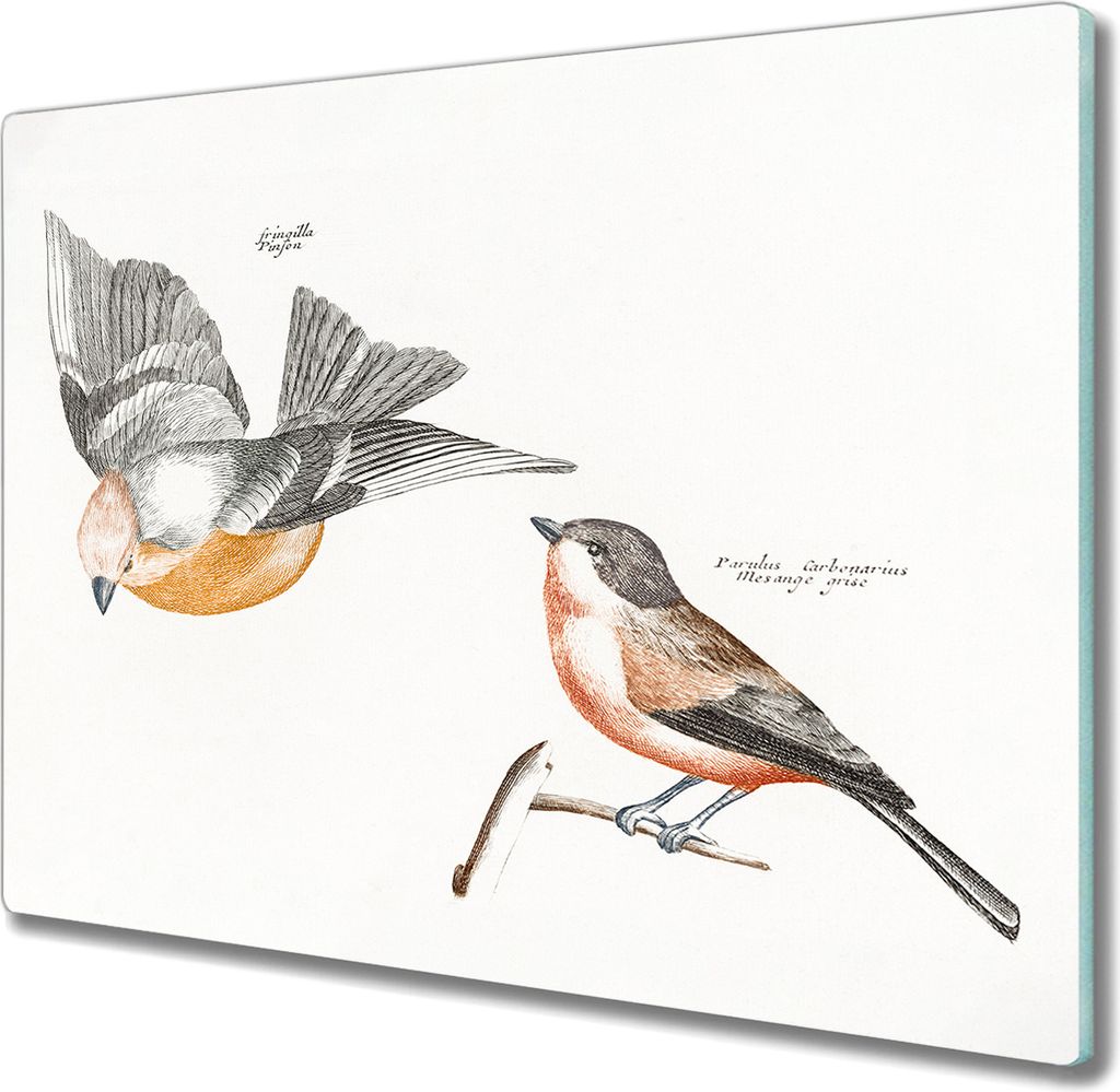 Coloray Herdabdeckplatte 60x52 cm Schneidebrett Kochplattenabdeckung Küchenbrett Hackbrett - Tier Vogel Zweig