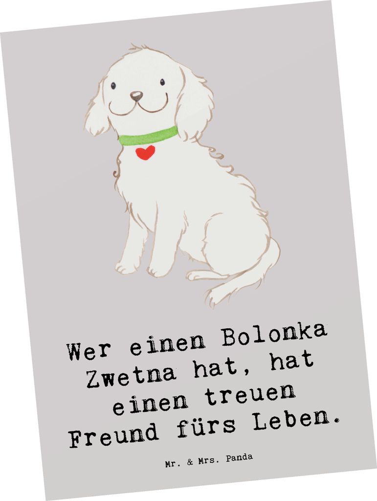 Mr. & Mrs. Panda Postkarte Bolonka Zwetna - Grau Pastell - Geschenk, Kinderfreundlich, Postkarten, Grußkarte, fröhliche Hunde, Hundehalter, Fotok...
