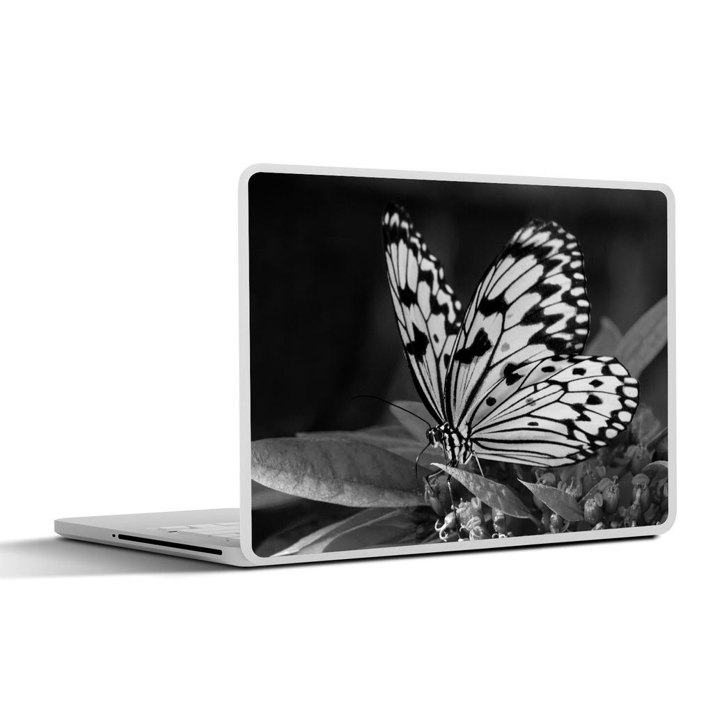 MuchoWow Laptop Aufkleber Sticker Cover Idea leuconoe Schmetterling mit Flügeln oben - schwarz und weiß 25x18 cm - Laptop-Deko