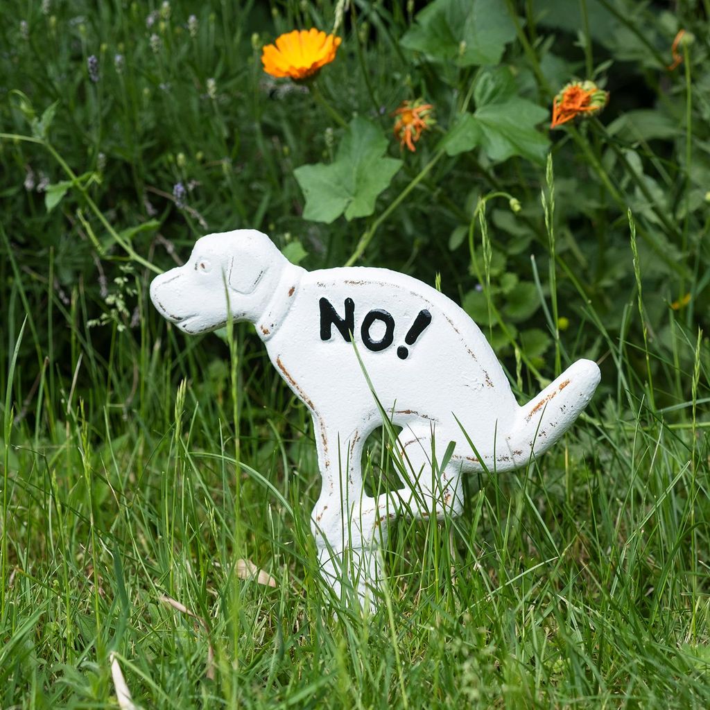 Moritz Steckschild NO! kein Hundeklo groß Verbotsschild aus Gusseisen Hunde Verboten Warnschild NO Dog allowed Schild Gartenschild keine Hundetoil...