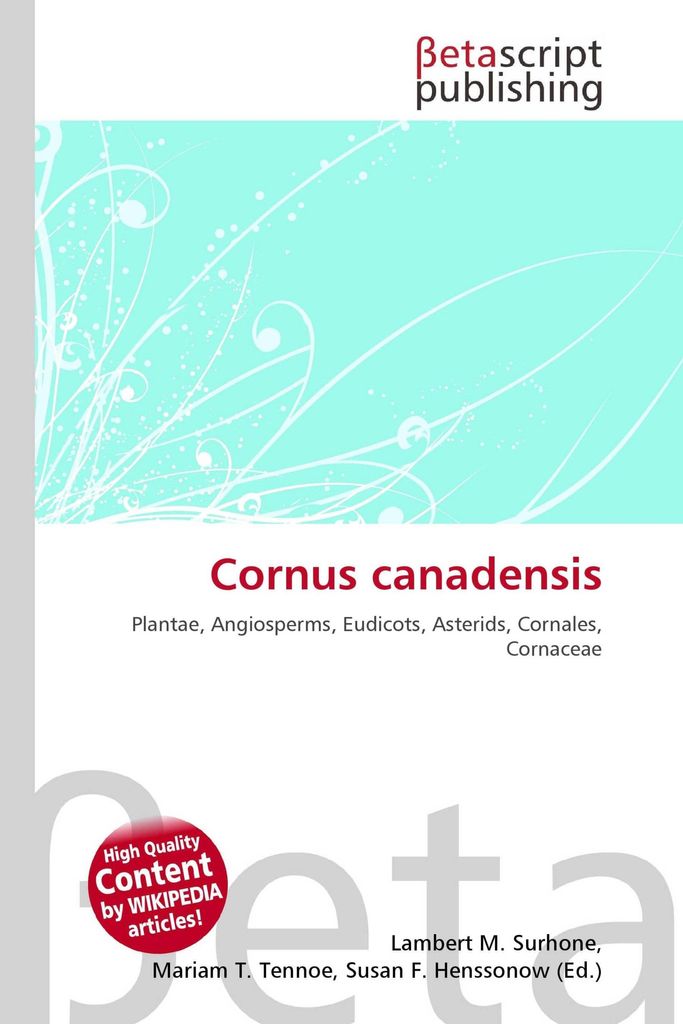 Cornus canadensis