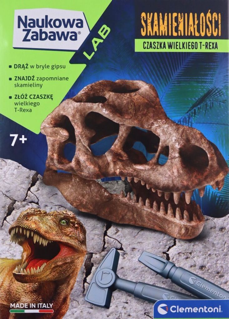 Wissenschaftlicher Spaß. Fossilien. T-Rex-Schädel
